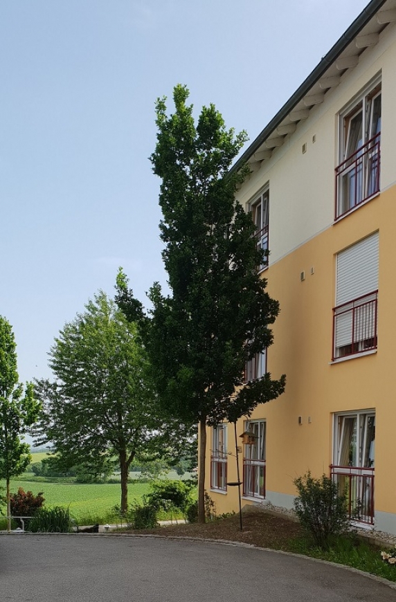 20190612_101644_klein.jpg