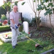 Dr. Fritz Eisenhut_Mitarbeit am Friedhof Mamming [640x480].jpg