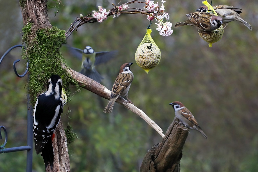 AdobeStock_184398645.jpeg